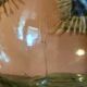 Ancienne dame jeanne 12l