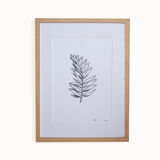 “La rameau” screen print in limited edition