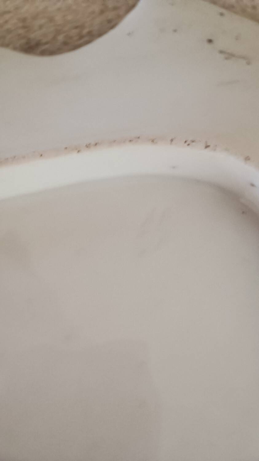 Shell-shaped bowl in Paris porcelain