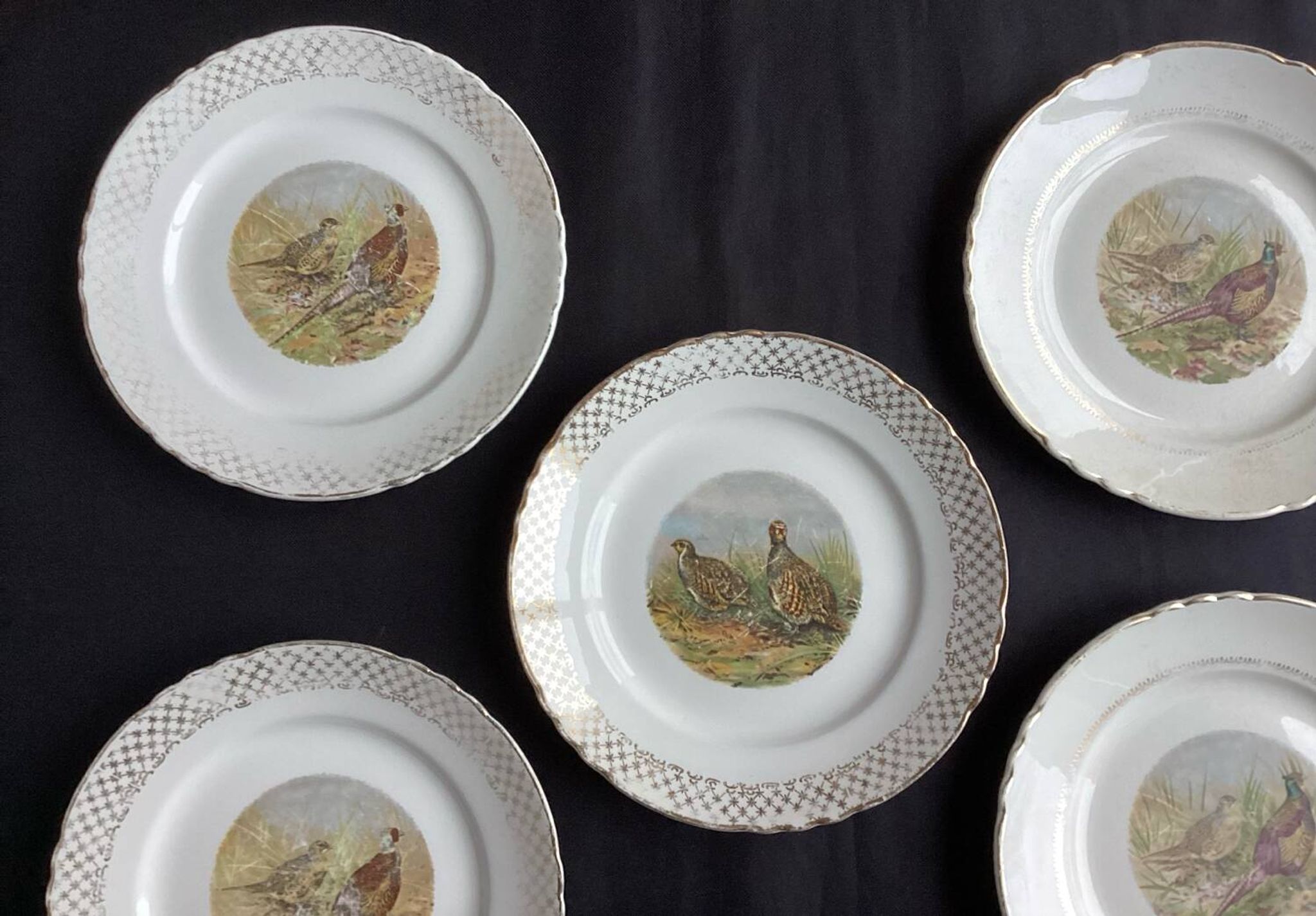 Set of 5 Moulin des Loups flat plates