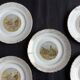 Set of 5 Moulin des Loups flat plates