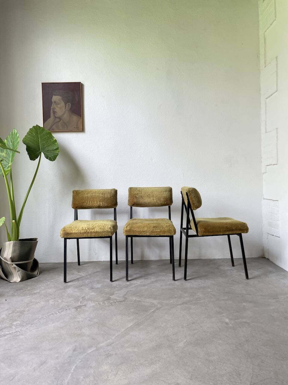Set de trois chaises années 50