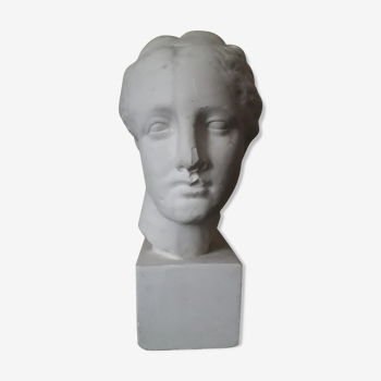 Bust plaster Aphrodite early XX th