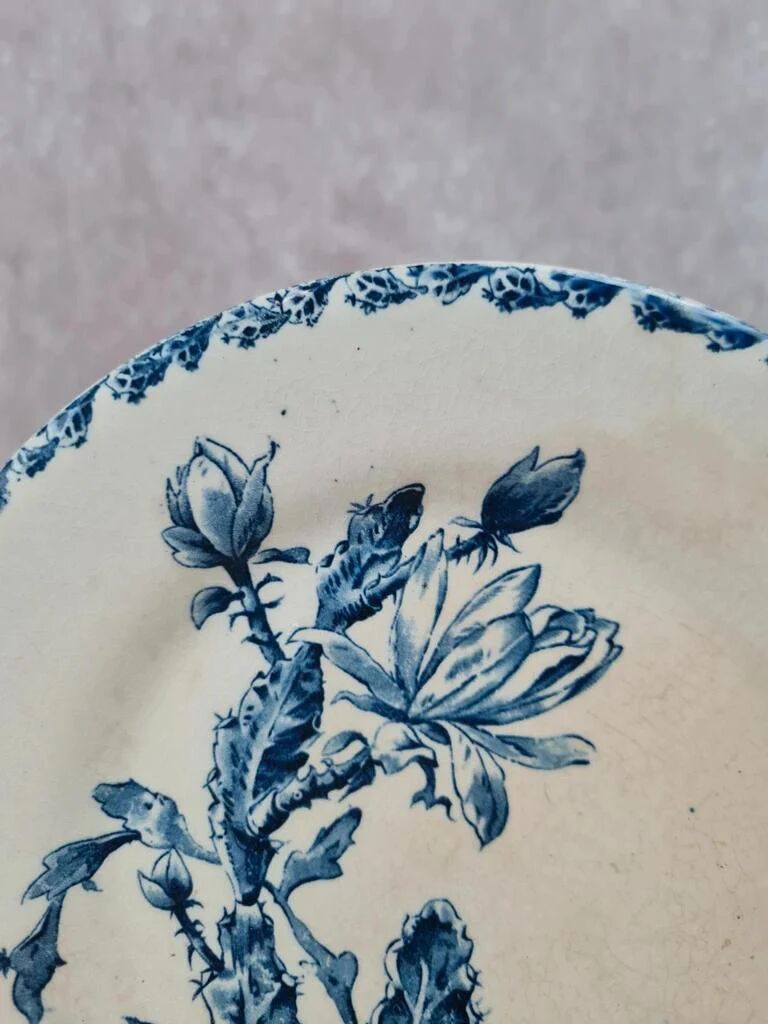 Antique Gien plate, Cactus model