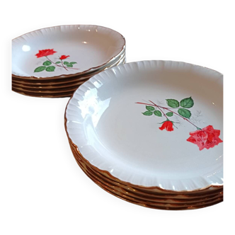 Lot assiettes Digeoin & Sarreguemines