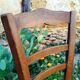 6 antique chairs