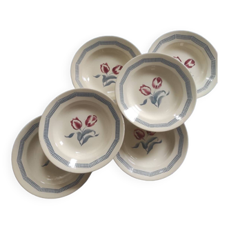 Series of 6 Digoin soup plates