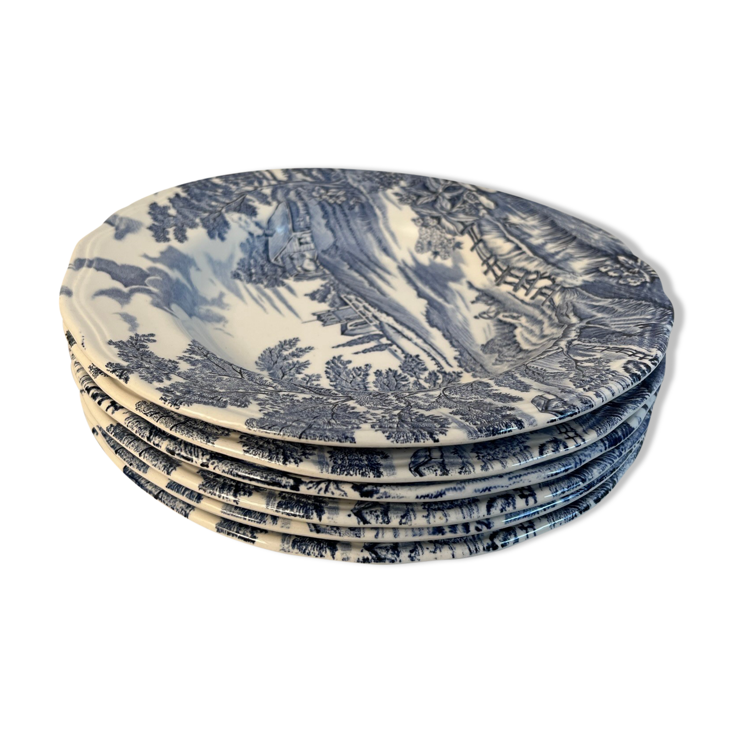 6 Hollow plates English Vintage style