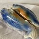 2 vases en barbotine poisson