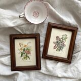 2 small old wooden frames with botanical engraving