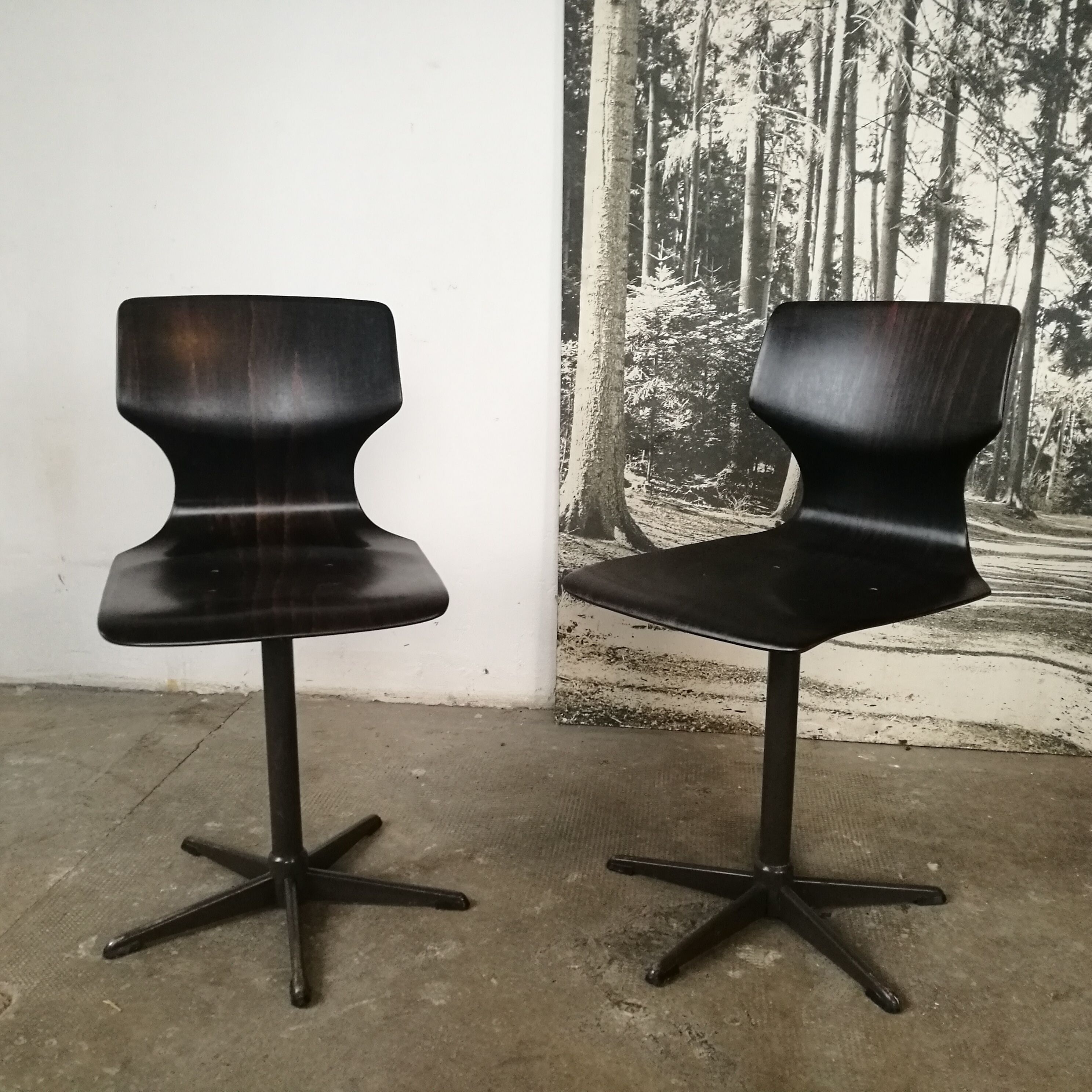 Pair of chairs Pagholz, Flototto