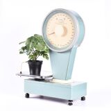 Old kitchen scale