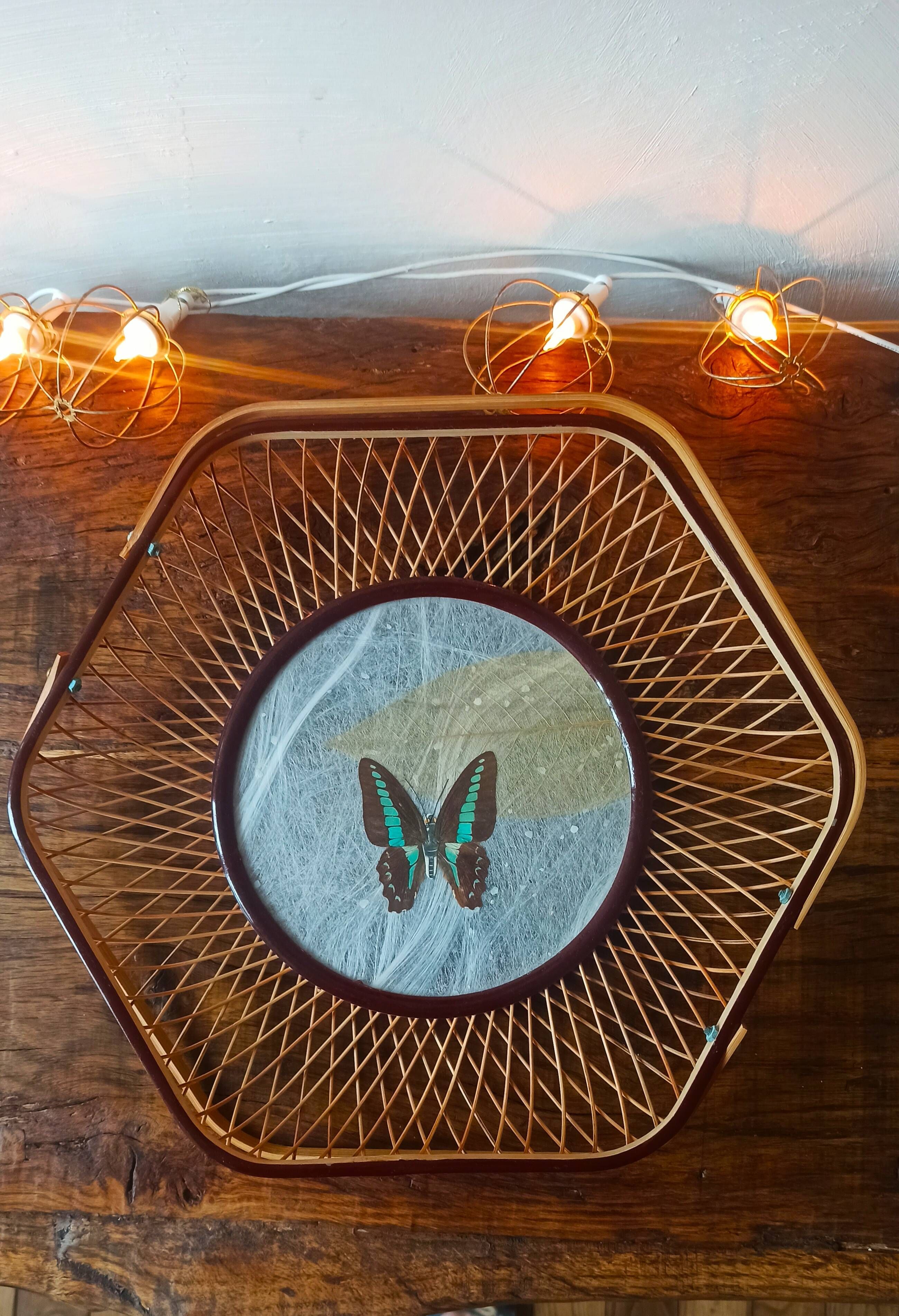Rattan basket/tray/coin tray with a collection butterfly.
