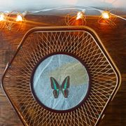 Corbeille/ plateau/ vide poche en rotin avec papillon de collection