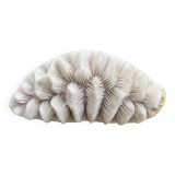 Original vintage coral