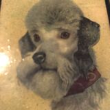 Protrait English poodle enamel on copper
