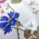 6 Creil and Montereau dessert plates “Blueberries” model
