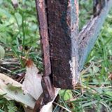 Industrial arched metal windows L73xH110 19th century glass roof