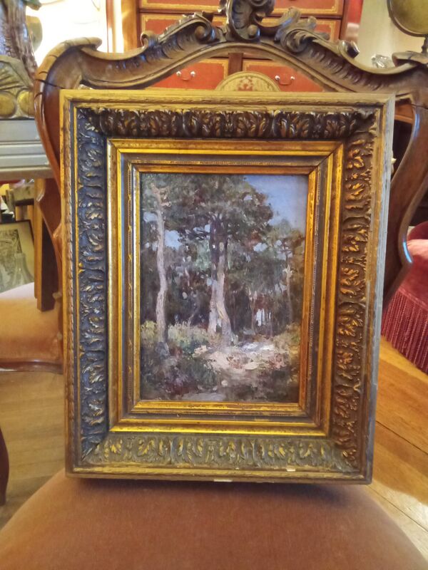 Ancienne peinture paysage  encadrement cadre doré