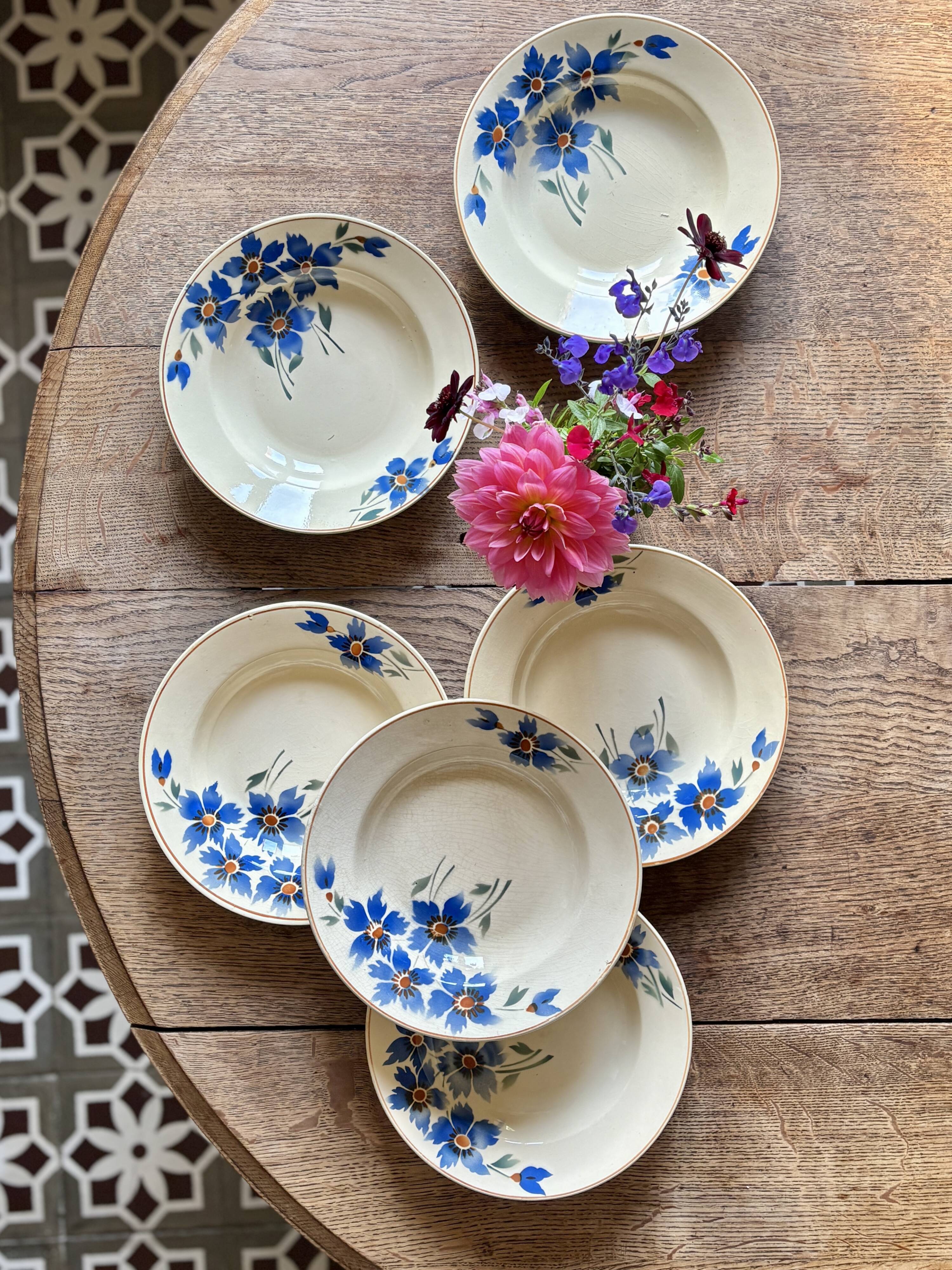 Set of 6 old-fashioned soup plates with blueberry decorations