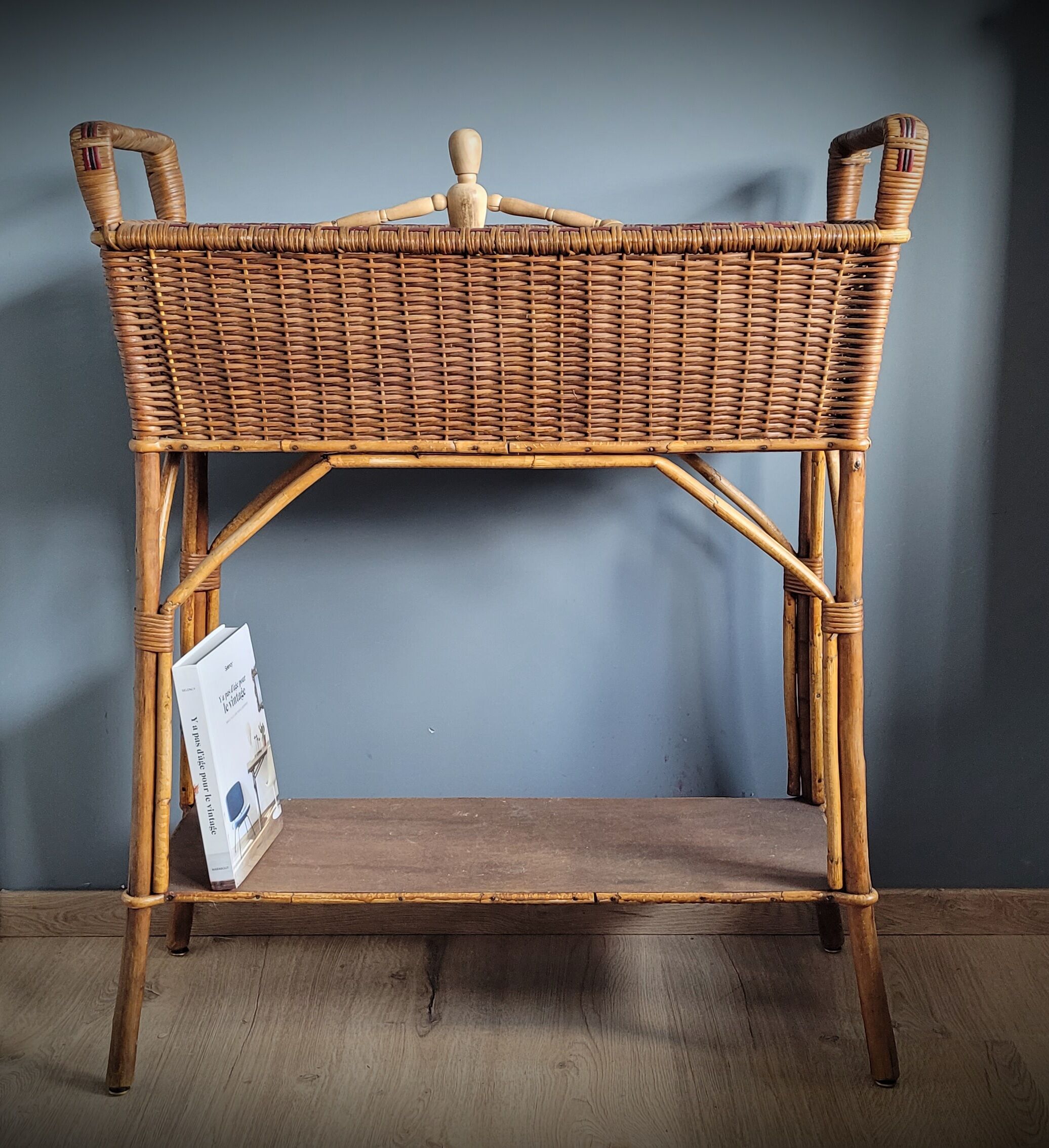 Planter door rattan plant