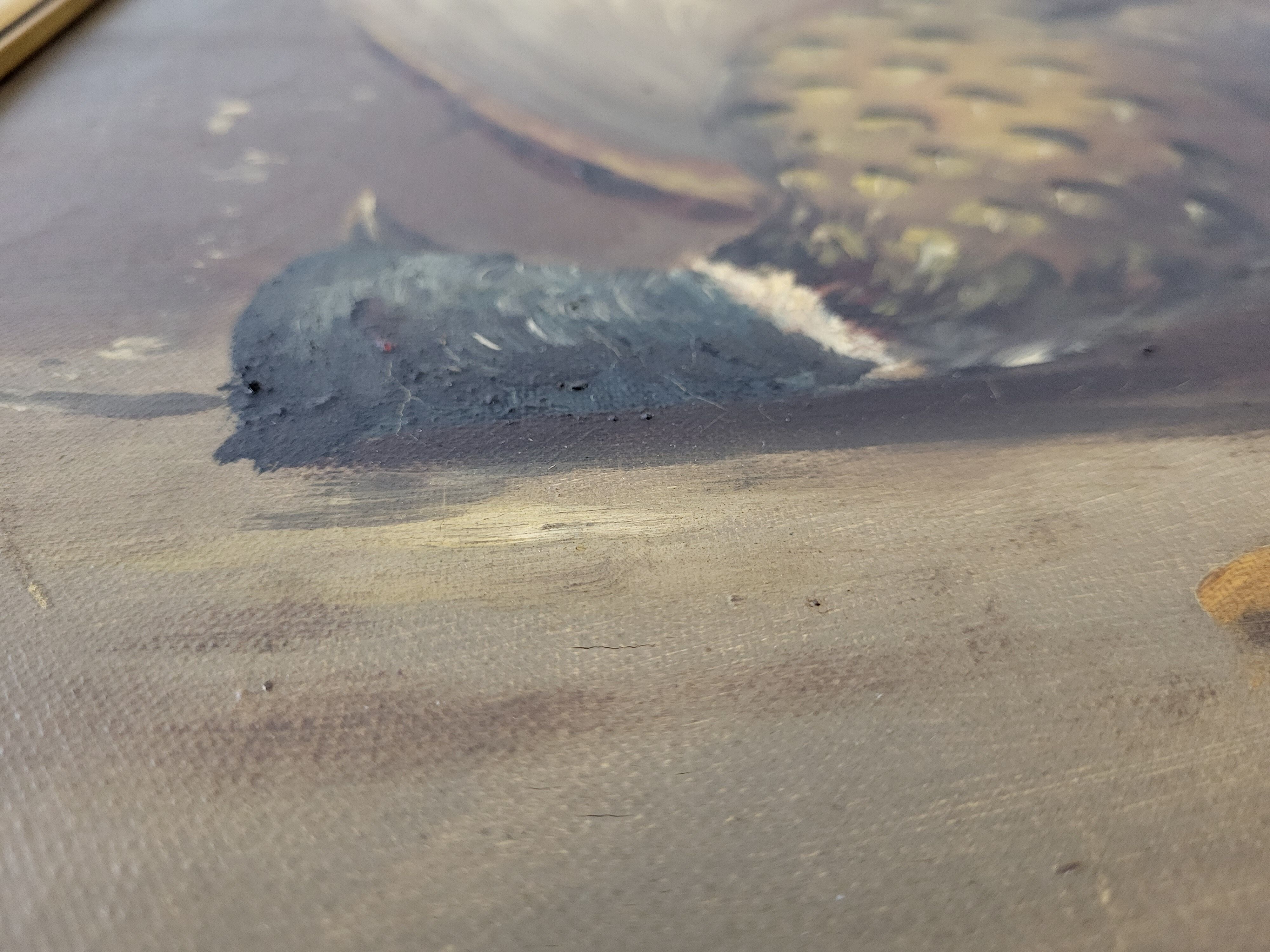 Still Life with Duck HST by Rossi