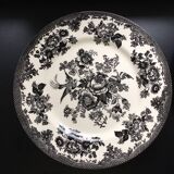 Royal Stafford Dinner Plate Asiatic Pheasant