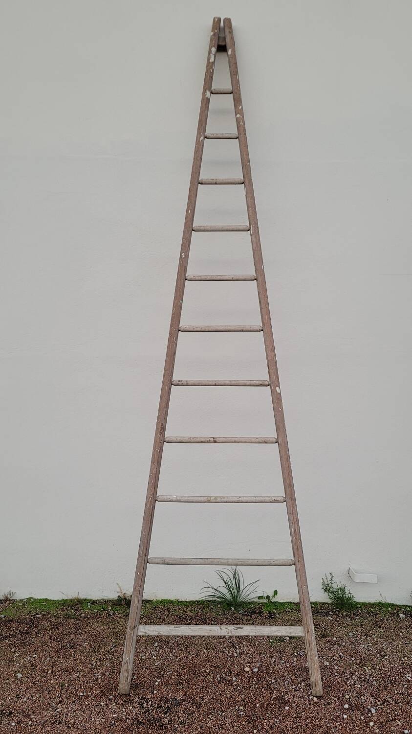 Double ladder for market gardening, fruit harvest, old wooden picking - 3m65