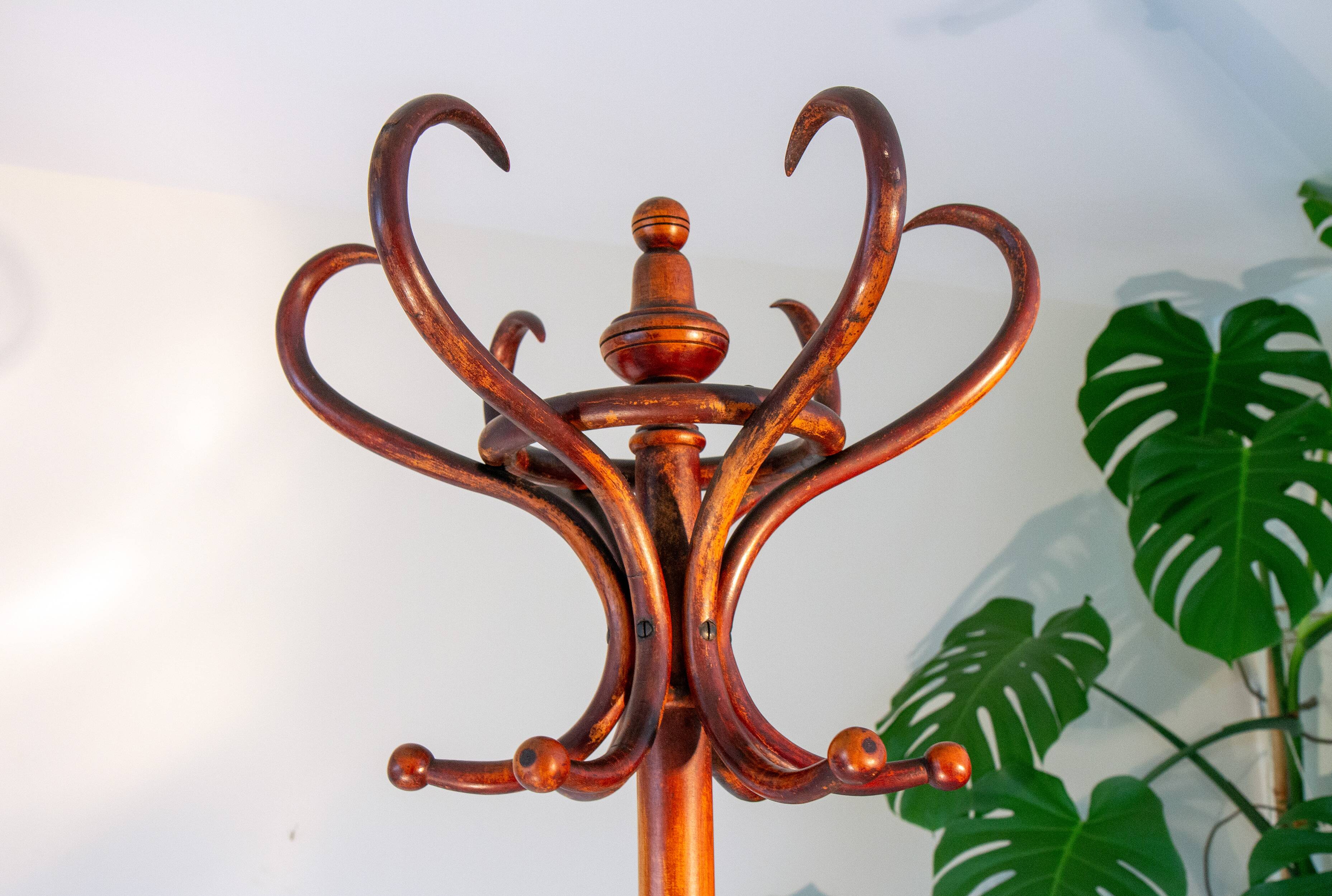 Bistro parrot early 20th century