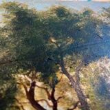 HSP painting "Forest Edge" by Léon Benoit (19th-20th century)