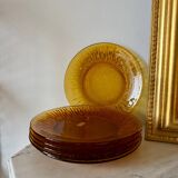 The 6 amber plates Vereco