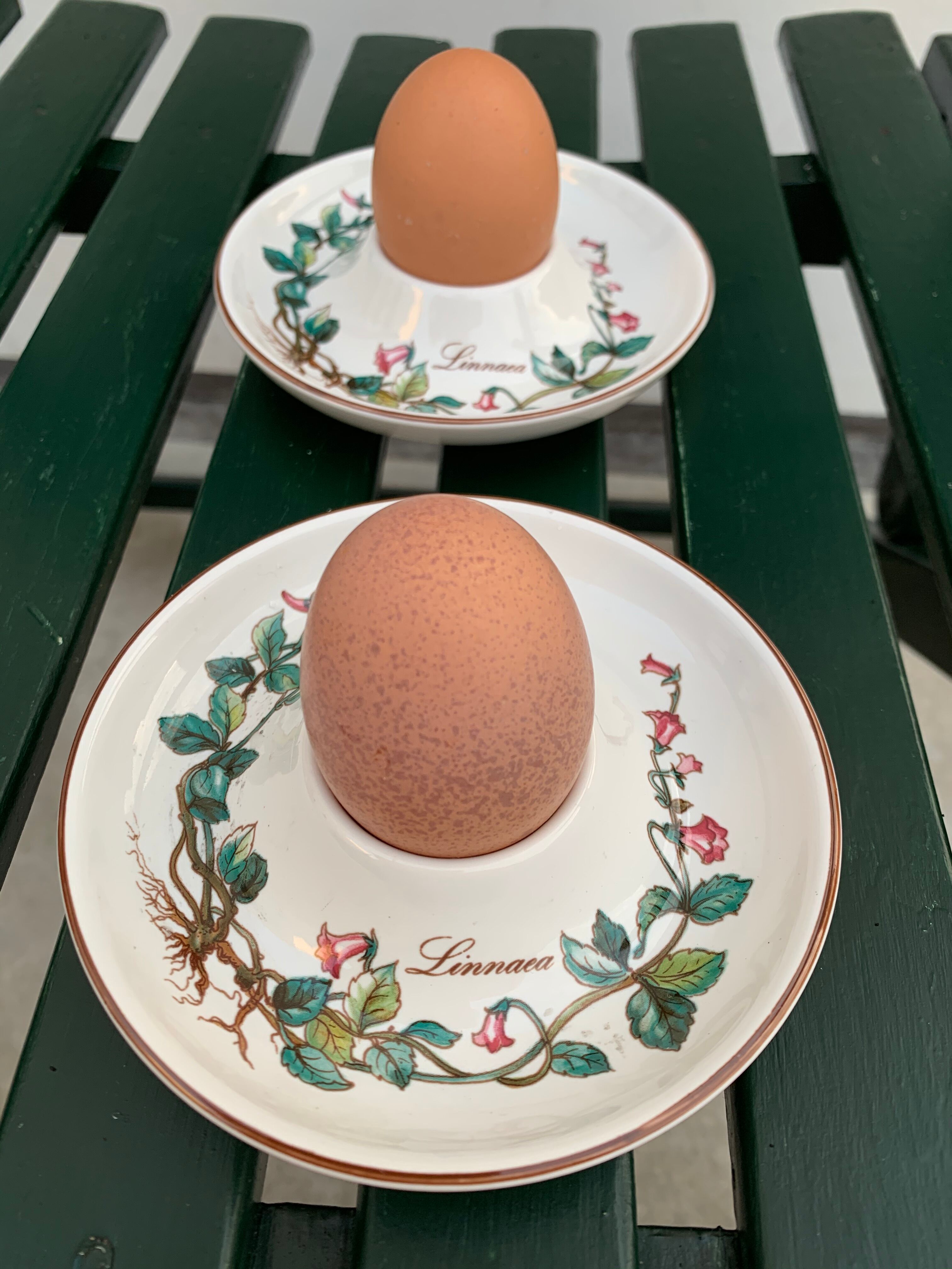 Pair of cockroaches Botanica Linnaea or Twinflower de Villeroy and Boch