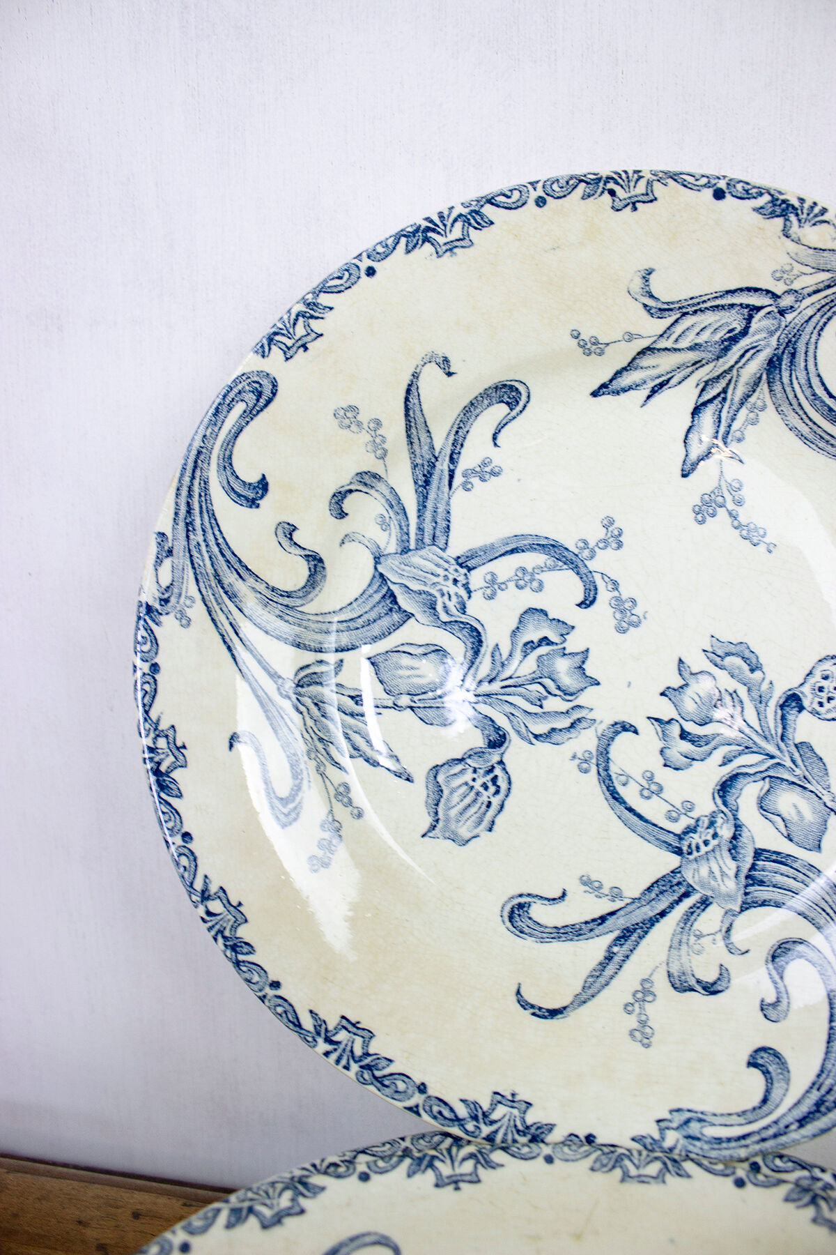 Lot de 8 assiettes plates terre de fer - modèles Iris - Léon Graves - Clairefontaine