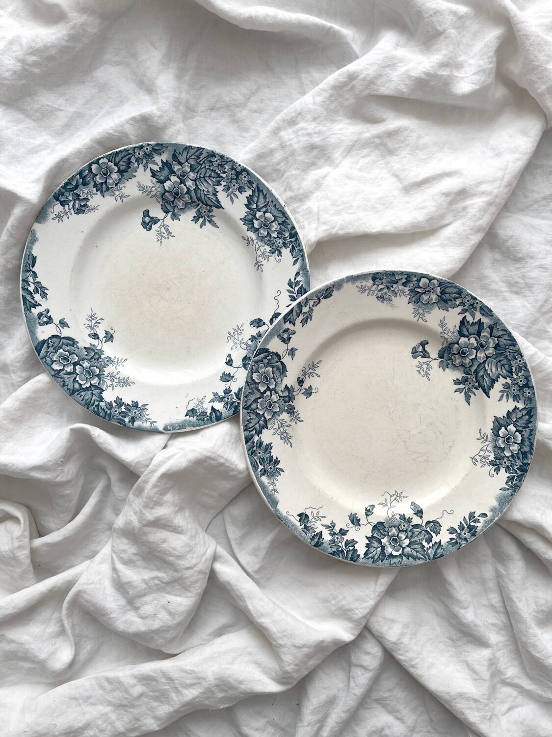 2 flat ironstone plates “Marie Louise” Saint Amand and Hamage