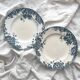 2 flat ironstone plates “Marie Louise” Saint Amand and Hamage