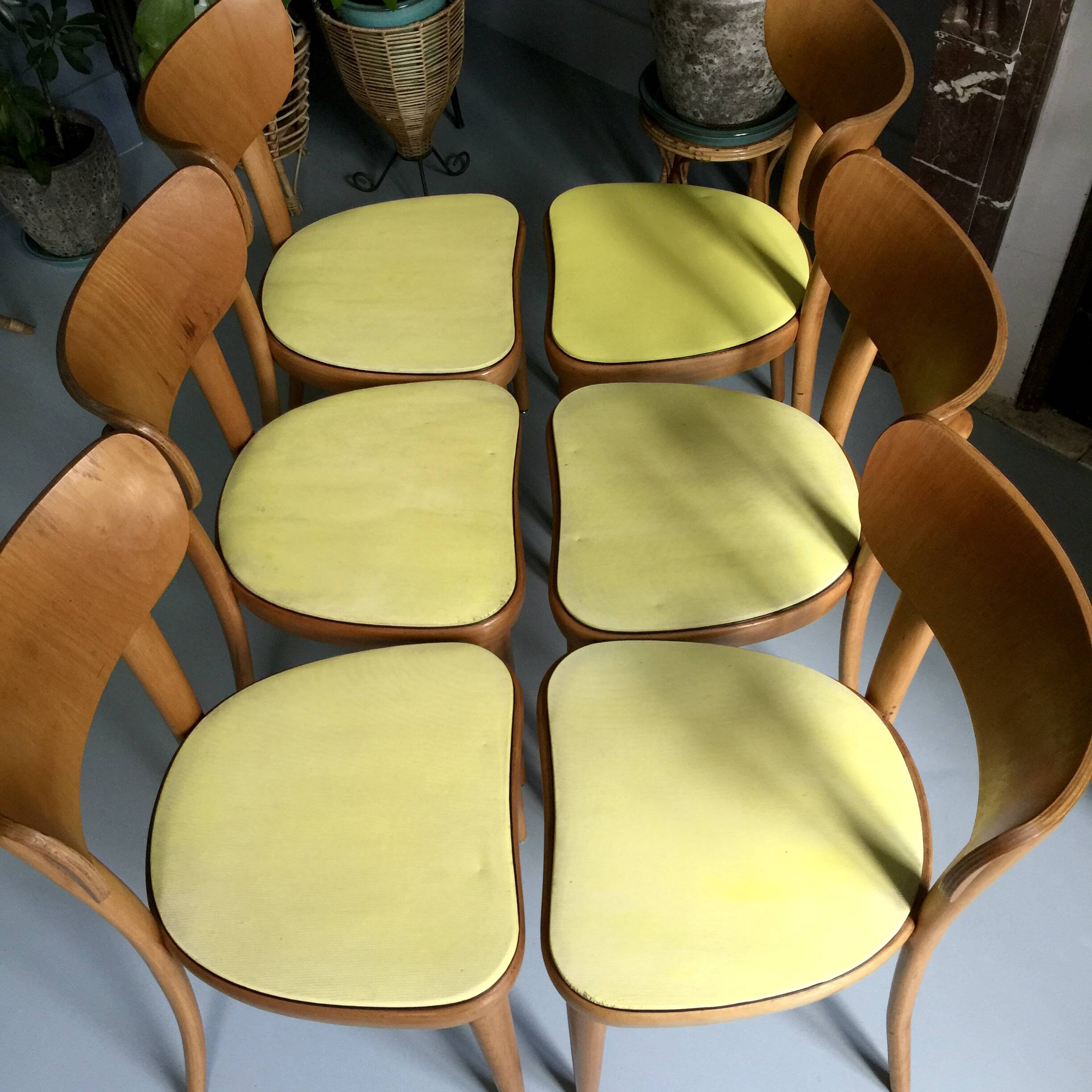 6 yellow and wood Thonet chairs