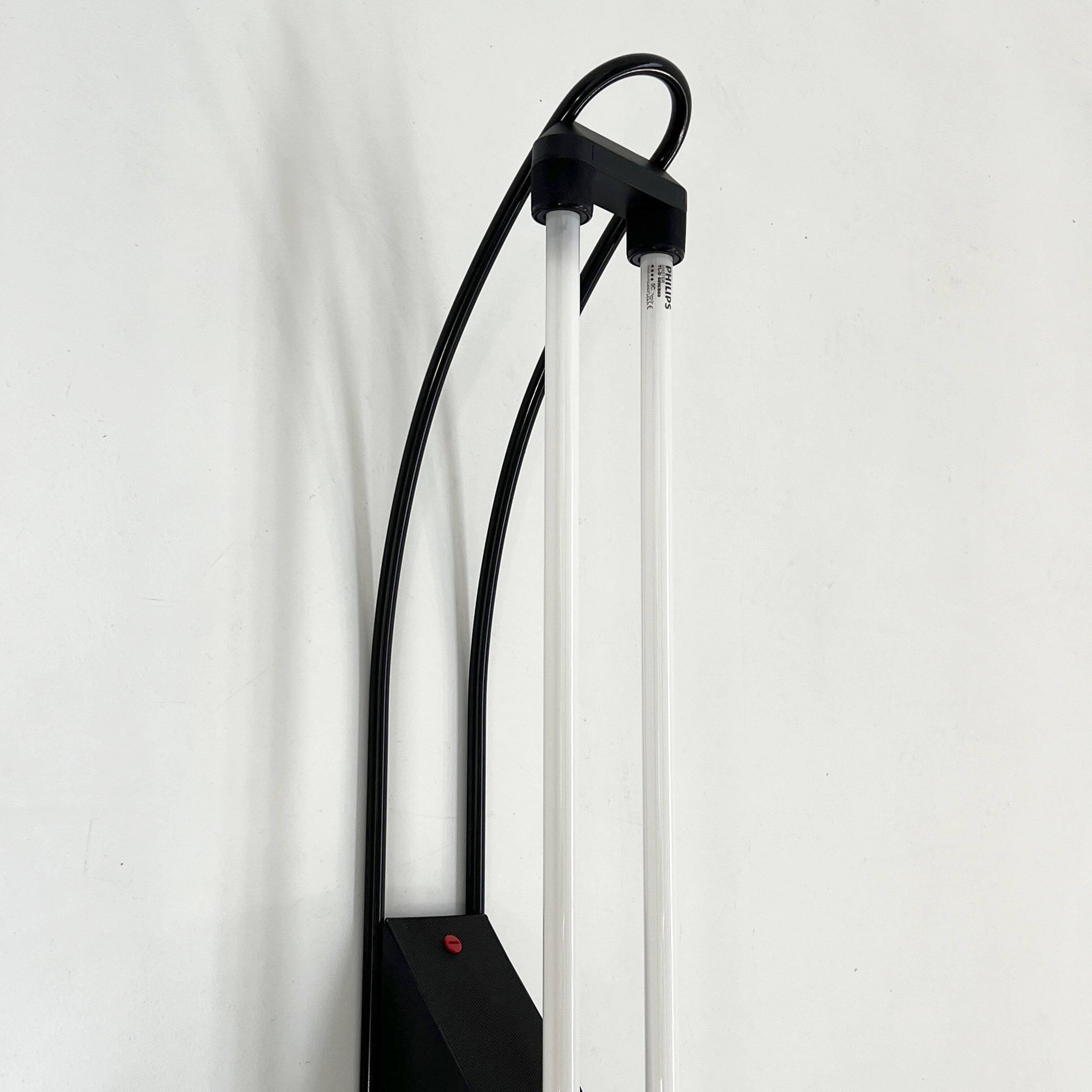 Applique double néon noir par Gian N. Gigante pour Zerbetto, 1980