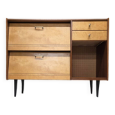 1960s vintage shoe cabinet