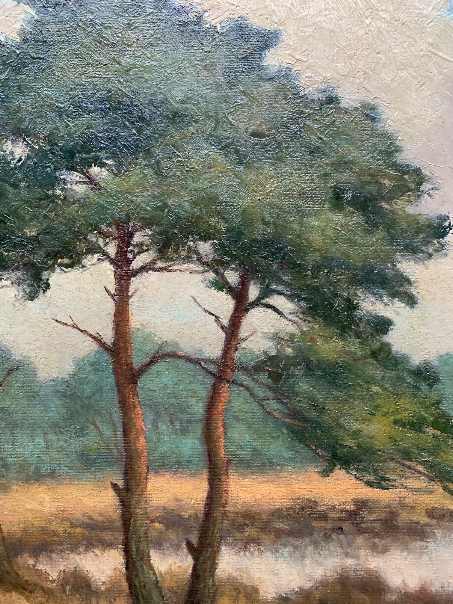 Table "The forest landscape".