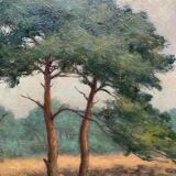 Table "The forest landscape".