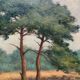 Table "The forest landscape".