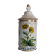 Pharmacy pot "arnica montana"
