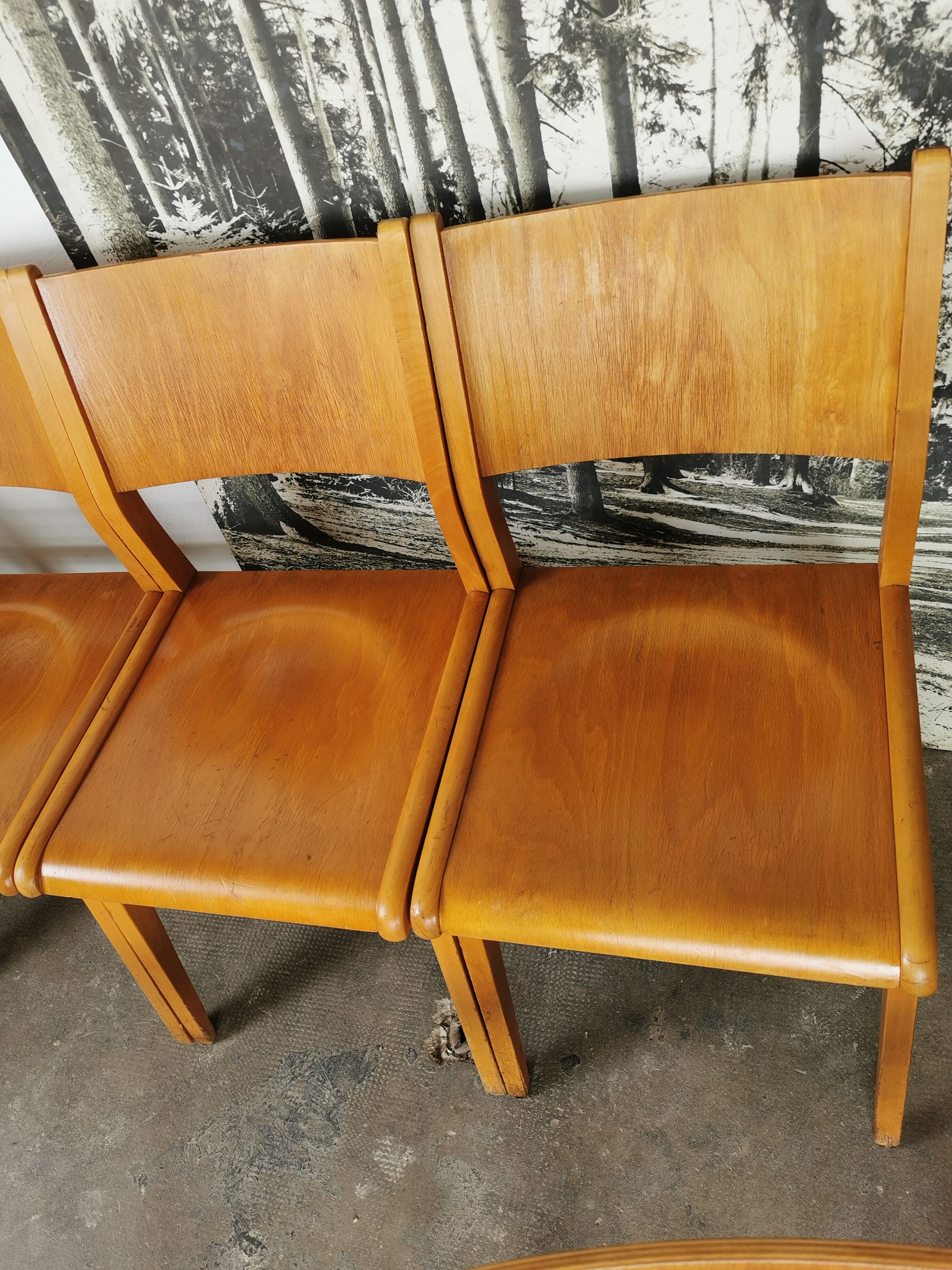 Lot de 6 chaises de théâtre en bois blond