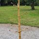 Brutalist coat rack on boxwood stand