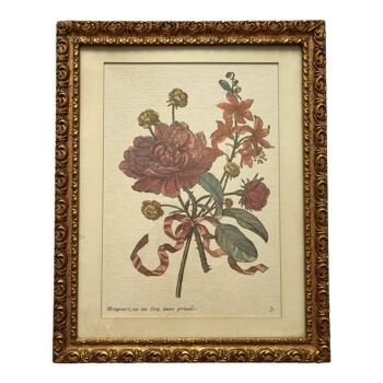 Lithographie ancienne encadrée fleurs planche de botanique
