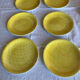 Set de 6 assiettes plates Salins