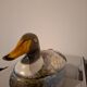 Old ceramic duck signed Caugant