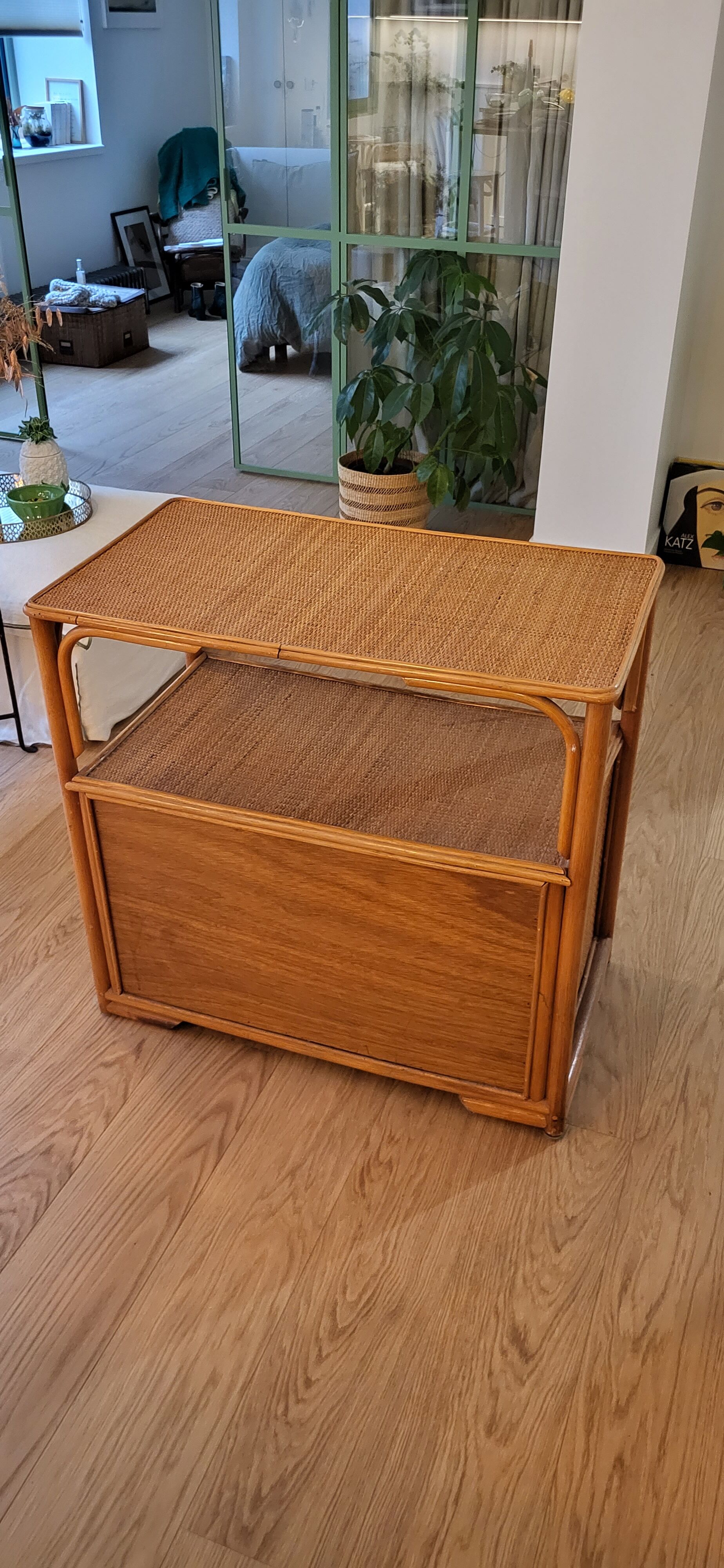 Rattan vinyl storage cabinet