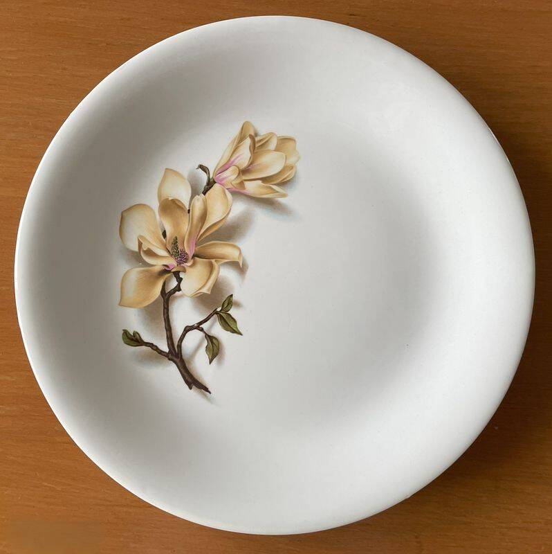 6 antique flat plates in Saint-Amand earthenware (Nord)