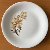 6 antique flat plates in Saint-Amand earthenware (Nord)